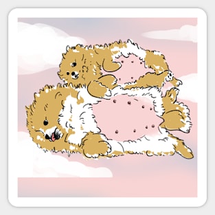 Pregnant pomeranians Sticker